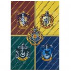 LLIBRE Harry Potter i el calze de foc (Català