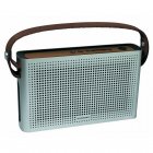 Schneider Groove HD Altavoz Radio Bluetooth Plata