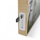 Energy Sistem Frame Speaker Altavoz Bluetooth Forest 50W
