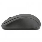 Trust Ziva Wireless Compact Ratón Inalámbrico 1200DPI