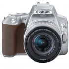 Canon 250D 24MP WiFi Prateada + Objetiva EF-S 18-55mm F4-5.6 IS STM