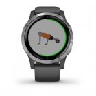 Garmin Vívoactive 4 Plata/Gris
