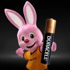 Duracell Pilas Alcalinas LR61 AAAA 1.5V 2 Unidades