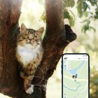 Tractive Ikati GPS de Seguimiento y Actividad Para Gatos