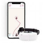 Tractive Ikati GPS de Seguimiento y Actividad Para Gatos