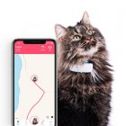 Tractive Ikati GPS de Seguimiento y Actividad Para Gatos