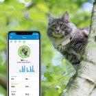 Tractive Ikati GPS de Seguimiento y Actividad Para Gatos
