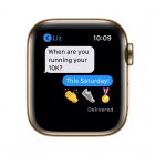 Apple Watch Series 6 GPS + Cellular 40mm Acero Inoxidable en Oro Correa Deportiva Verde Chipre