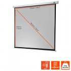 Celexon Electric Economy Pantalla de Proyección Eléctrica 280x280cm