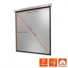Celexon Electric Professional Plus Pantalla de Proyección Eléctrica 240x240 cm
