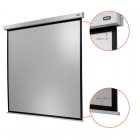 Celexon Electric Professional Plus Pantalla de Proyección Eléctrica 240x240 cm