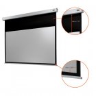 Celexon Electric Professional Plus Pantalla de Proyección Eléctrica 300x169 cm