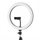 Iggual Aro de Luz LED 10" con Trípode