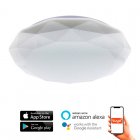 Ledme Smarthome Dial Plafón LED Inteligente 24W Blanco