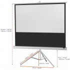 Celexon Economy Pantalla de Proyección con Trípode 219x123cm Blanco