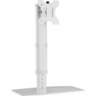NewStar Soporte de Escritorio para Monitor 10"-30" VESA  100x100 Máx 6Kg