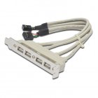 Bracket Conexión USB (2x10Pin a 4xAH) a Placa Base