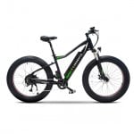 E-Bike Argento Elefante Plus Fat 2021