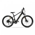 E-Bike Argento Performance Plus Verde 2021