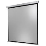 Celexon Professional Plus Pantalla de Proyección 220x220cm