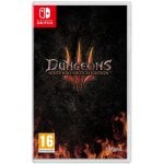 Dungeon 3 Nintendo Switch