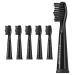 Ailoria Flash Travel Pack Têtes de rechange noires 6 unités