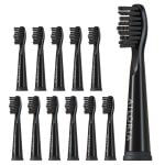 Ailoria Flash Travel Pack Têtes de rechange noires 12 unités