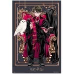 Erik Affiche Harry Potter Wizard Dynasty Harry 91,5x61cm