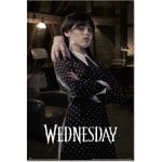Erik Poster Wednesday Room 91,5x61cm