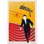 Erik Póster Con la Muerte en los Talones 100 Aniversario WB 91.5x61cm