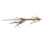 Amont Réplica Espada Spear of White Walkers Game of Thrones 105cm