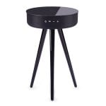 TD Systems SM30B11WGN Altavoz Mesa Bluetooth 30W con Batería 2200mah Cristal Negro