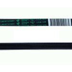 Correa de transmisión Hutchinson 1239 mm POLY-V J 5 dientes 4 canales