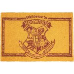 SD Toys Zerbino Harry Potter Benvenuto a Hogwarts 60x40 cm