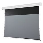 Celexon Leinwand Motor HomeCinema Plus Pantalla de Proyección 100" 16:9