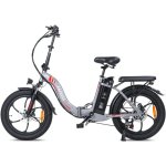 Fafrees F20 Bicicletta Elettrica Motore 250W Batteria 576Wh Autonomia 70km Grigio