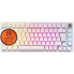 Newskill Pyros PRO Clavier de jeu mécanique sans fil 75 % Hotswap Blanc Newskill Pyros PRO Clavier de jeu mécanique sans fil 75 % Hotswap Blanc
