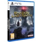 Shadow Labyrith PS5