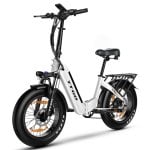 Vélo électrique Alfa 250W 36V 25Ah LCD avec roues 20x4″ et suspension arrière Vélo électrique Alfa 250W 36V 25Ah LCD avec roues 20x4″ et suspension arrière