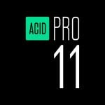Magix ACID Pro 11 Plug-in professionali per l'editing dei loop