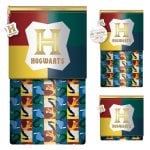 Estuche plegable Pyramid Harry Potter licencia oficial con cremallera