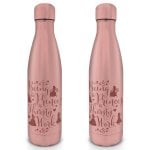 Botella aluminio Pyramid DISNEY 550ml tapón enroscable diseño oficial