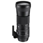 Sigma 150-600mm F5-6.3 DG OS HSM C Teleobjektiv Stabilisator Autofokus Canon Sigma 150-600mm F5-6.3 DG OS HSM C Teleobjektiv Stabilisator Autofokus Canon