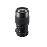 Fujifilm GF250mmF4 R LM OIS WR 16/10 0,22x Schwarzes 250-mm-MILC-Teleobjektiv Fujifilm GF250mmF4 R LM OIS WR 16/10 0,22x Schwarzes 250-mm-MILC-Teleobjektiv