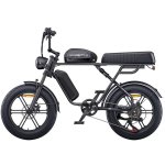 Bici elettrica ENGWE M1 Motore 48V 250W Pneumatici 20x4.0 Freni a disco idraulici Nero