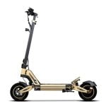 Patinete Eléctrico 900W Batería Litio Alta Capacidad Pantalla Digital Color Amortiguación Doble