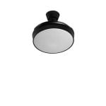 Ventilador de techo Brushless Aspas Retráctiles 107cm Silencioso 6 Velocidades LED Regulable Ventilador de techo Brushless Aspas Retráctiles 107cm Silencioso 6 Velocidades LED Regulable