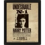 Póster lenticular Pyramid EPPL71245 Harry Potter 3D Enmarcado 23,5x28,5cm Oficial