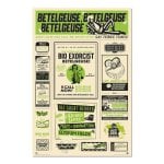 Beetlejuice 2 Poster