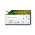 Sony FW-43BZ30L Écran LCD 4K Ultra HD 43" WiFi 24/7 Sony FW-43BZ30L Écran LCD 4K Ultra HD 43" WiFi 24/7